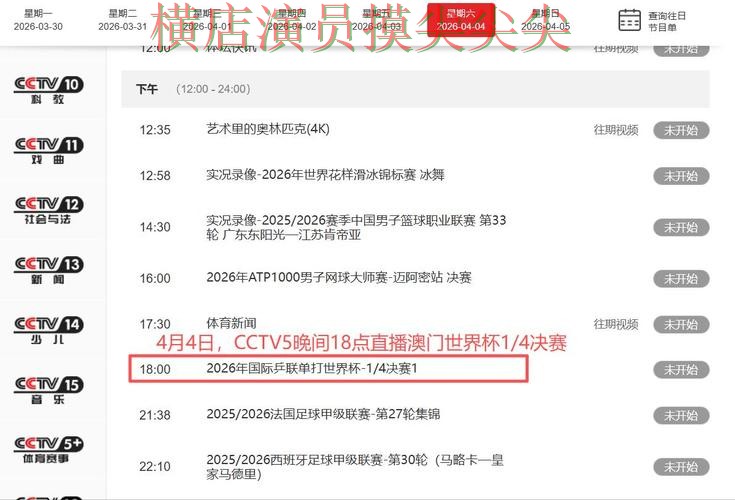 世界杯实时直播来临，世界杯买球网站数据分析+直播与平台选择揭秘